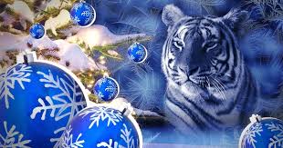 Зустрічаємо рік Блакитного Водяного Тигра: що вдягти, приготувати, подарувати | Переяслав.City